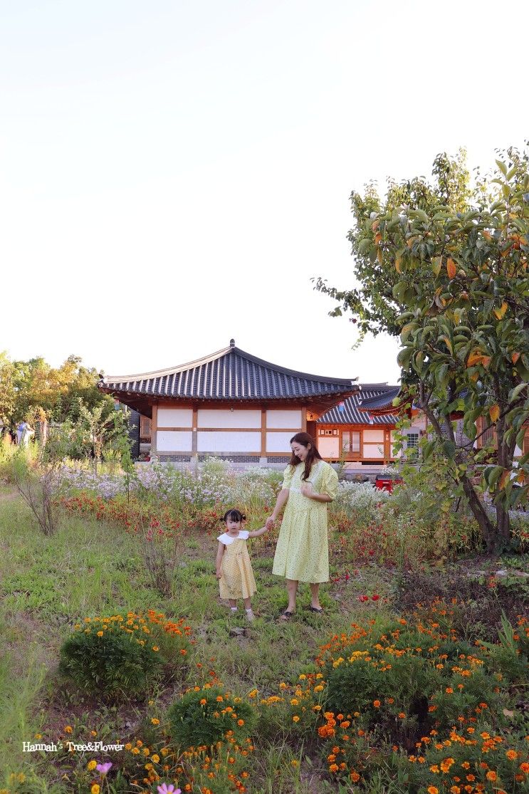 공주한옥마을 고즈넉한 풍경과 놀이터 아이와 가볼만한 곳