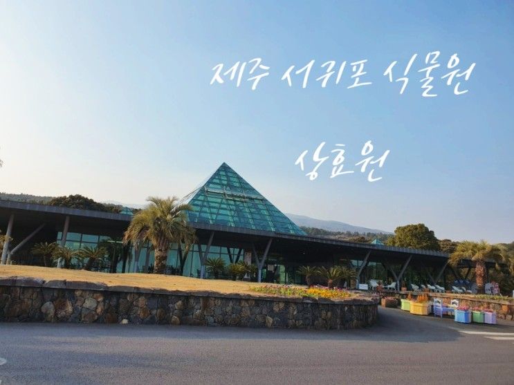 제주 튤립축제, 서귀포 기차 있는 수목원, "상효원" (입장료)