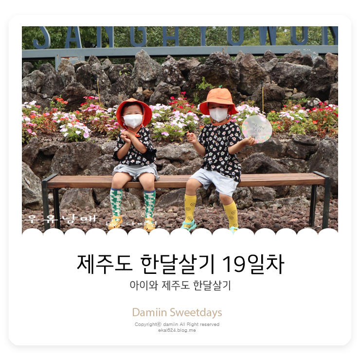 제주도 한달살기 19일차 (제주 상효원,폴개협동조합 블루베리 따기 체험)