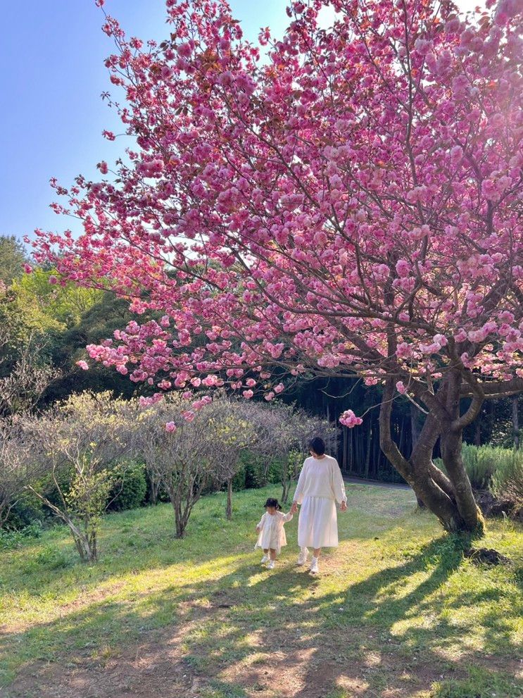 제주여행, 서귀포 수목원 추천! 상효원 수목원 (아이와 갈만한 곳)