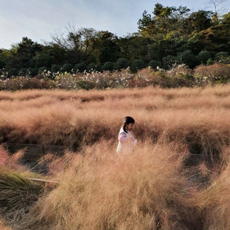 3대가 함께 제주여행 2박3일 제주투어패스 총정리