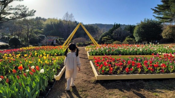 아이와함께_제주 : 아이와 함께 걷고 사진찍기 좋은 튤립가득 포토존 천국인 힐링정원 제주 서귀포[상효원수목원]