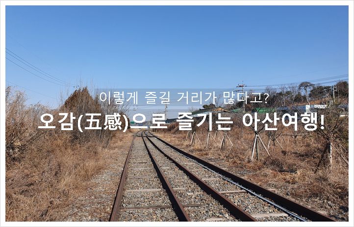 :: 세계꽃식물원, 아산레일바이크, 내 생애 첫 딸기, 이순신...