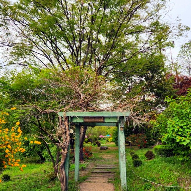 경기도 장흥 가볼만한곳 양주 숲길정원