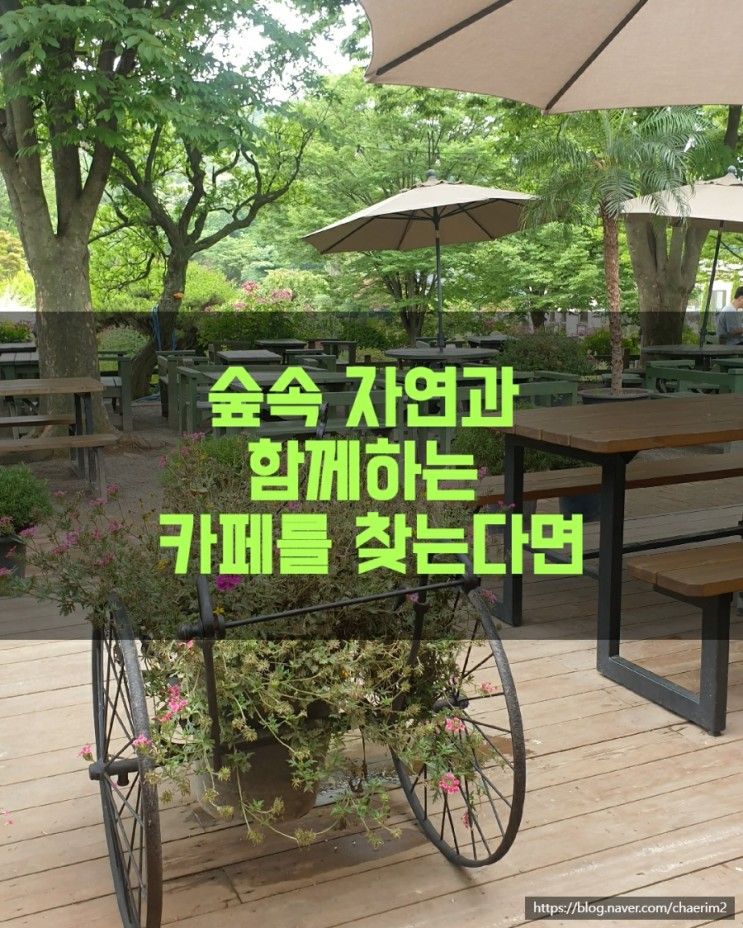 5000평 야외 숲길이 펼쳐진 숲길정원 카페