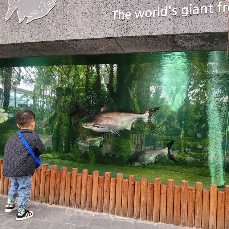 [이천]이천시환경학습관 : 대형민물고기를 볼 수 있는 무료학습관