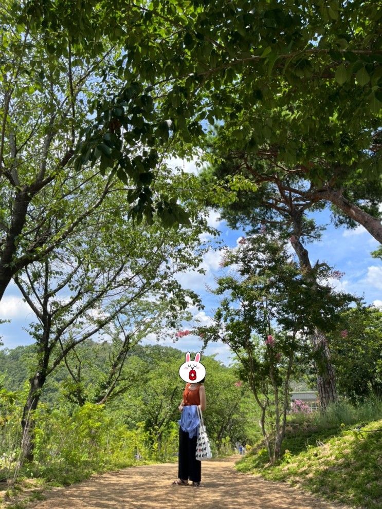 대구여행 수성구  대구미술관 근처카페 덕천418 롤링핀