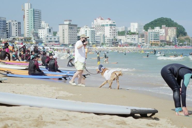 [부산여행] 해운대 해수욕장, 서핑 천국 송정 해수욕장