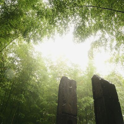 부산 - 아홉산숲 [Busan. Korea]
