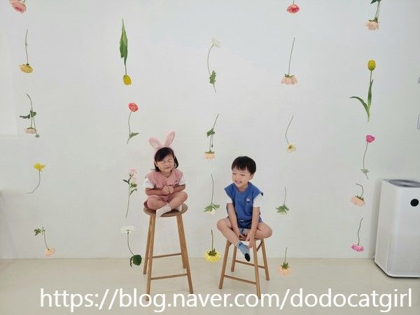 성장앨범 어렵지않아요, 용인 셀프스튜디오 '에브리모먼트'