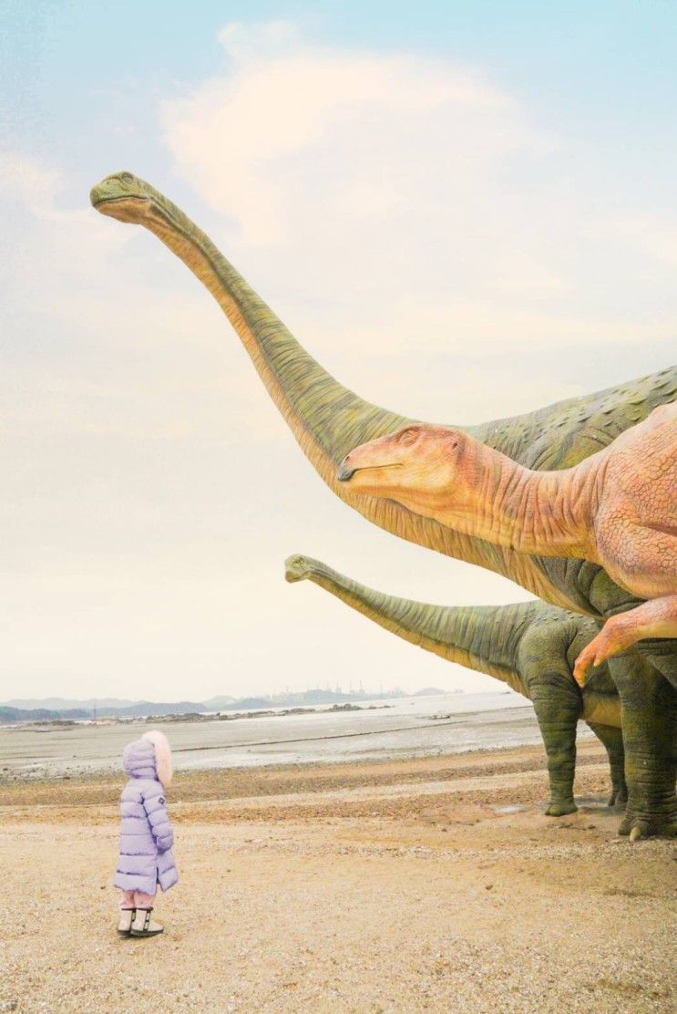 보령 공룡섬 발자국 화석 찾고 주변 가볼만한곳까지 추천!