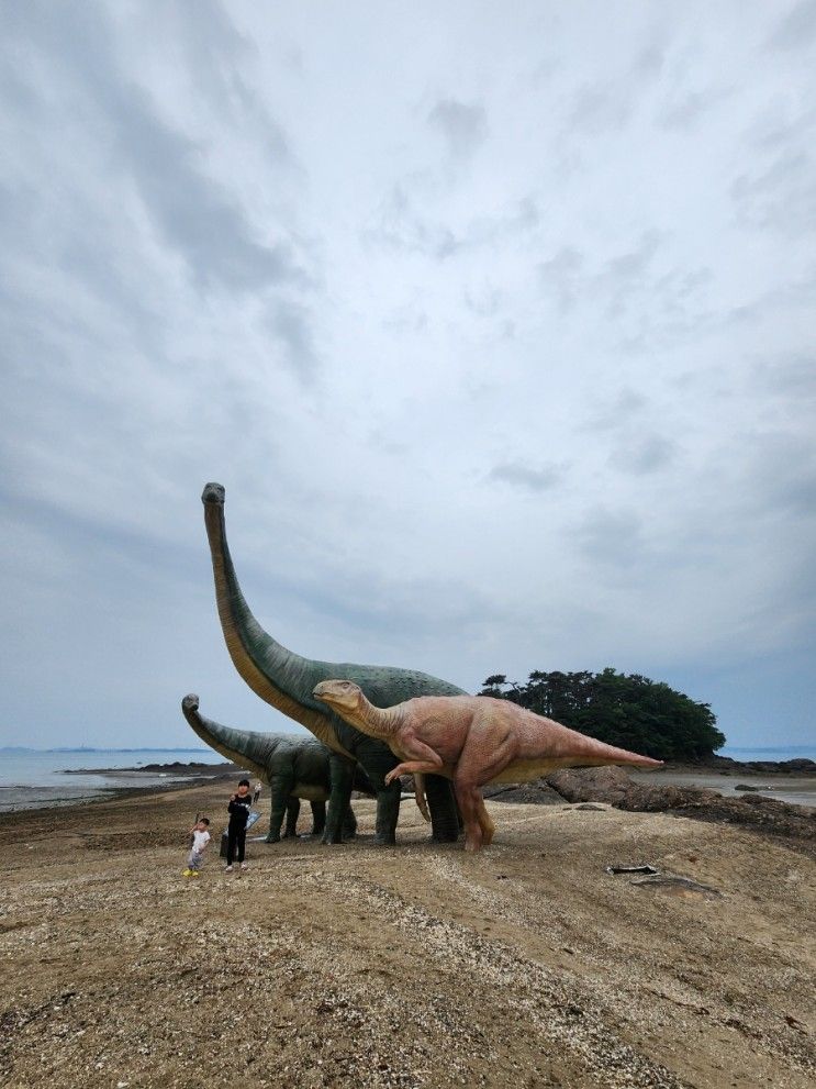 아기랑 보령 가볼 만한 곳 학성리 공룡발자국화석산지