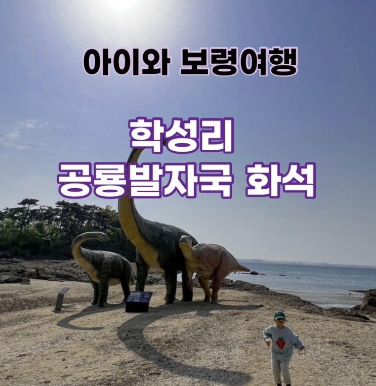 충남 보령 가볼만한곳 학성리 공룡발자국 화석