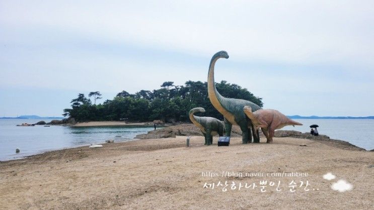 보령 바다여행 "학성리공룡발자국화석산지"