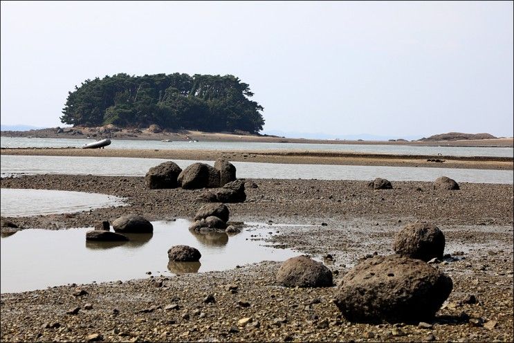 보령 학성리 해변 /  공룡발자국화석산지