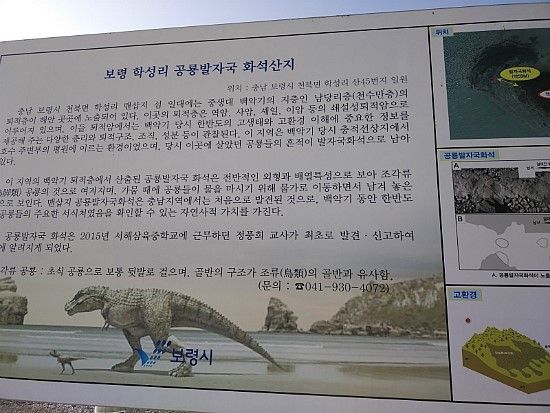 2018年 01月 06日 이야기 : 보령 학성리 공룡발자국 화석산지