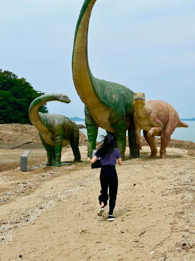 보령가볼만한곳<학성리공룡발자국화석>공룡 좋아하는 아이들...
