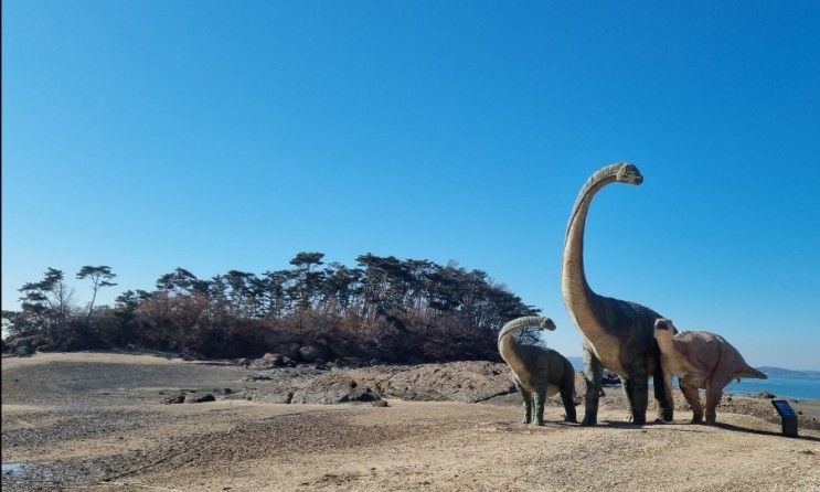 학성리 공룡발자국화석지 보령우유 창고