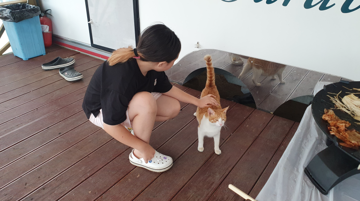 홍성 카라반_에코빌리지에서 낭만 있는 하룻밤!