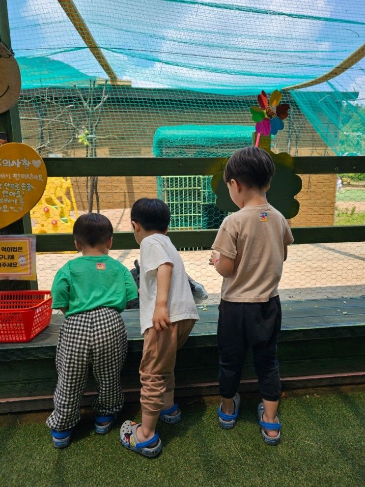 김포 에코빌리지 호기심놀이터(솔직후기)