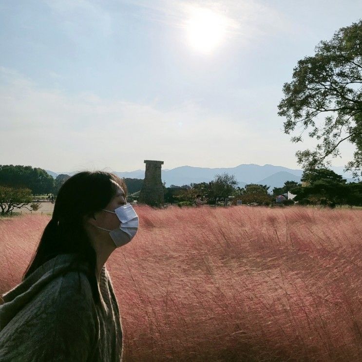 경주여행(1박2일코스)/올바릇식당, 보문호, 천북빌리지(독채풀빌라), 대릉원, 황리단길, 카페올리브, 첨성대, 동궁과월지(안압지), 월정교