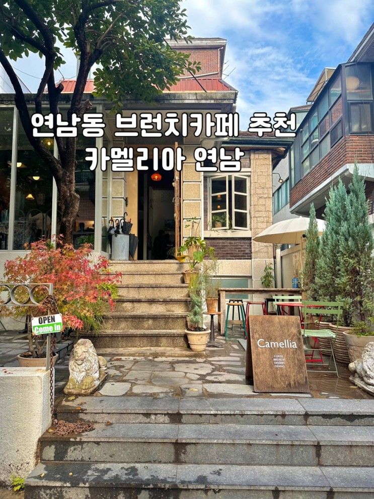 [서울] 연남동 분위기 좋은 브런치 카페 추천 카멜리아 연남