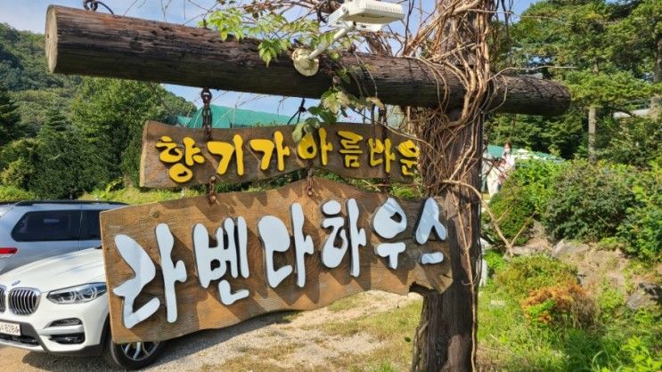 아기랑 가볼만한 곳 (남양주 : 라벤더하우스, 토끼카페)