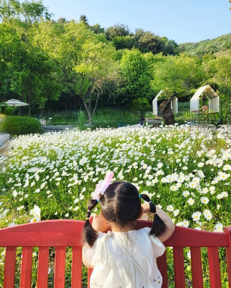 파주 마장저수지 카페 필무드, 빵과 커피가 맛있는 데이지꽃...