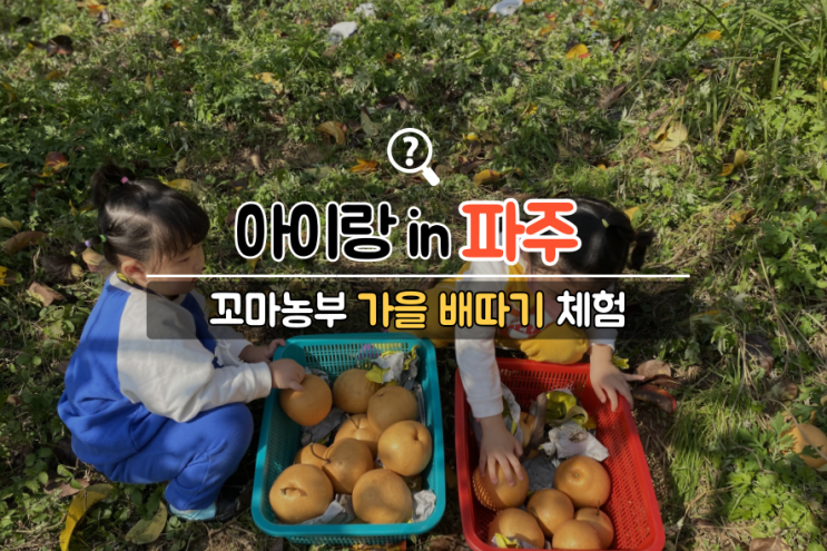 아이랑 가볼만한 파주 쇠꼴마을 (연간회원 + 배따기 + 깡통열차)