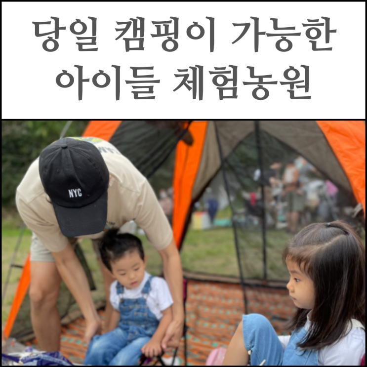 경기도 당일 캠핑장 지월농원 장단점 + 그늘막 자리정보