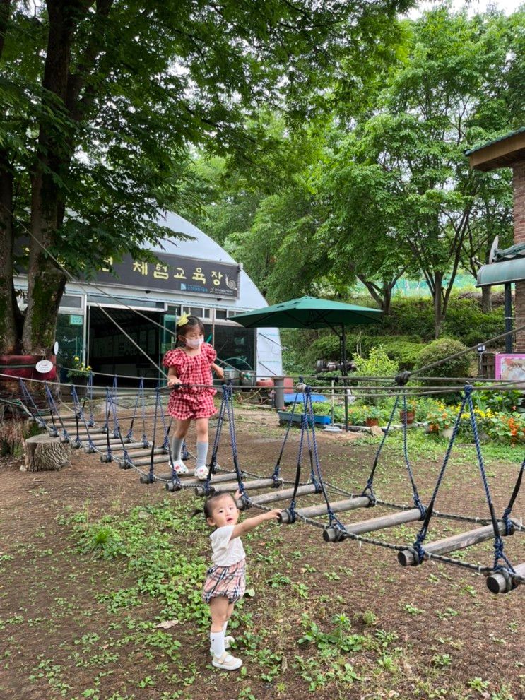 경기도 광주 아이와 가볼만한 곳 - 유아체험 가득한 취사가능 당일캠핑 지월농원