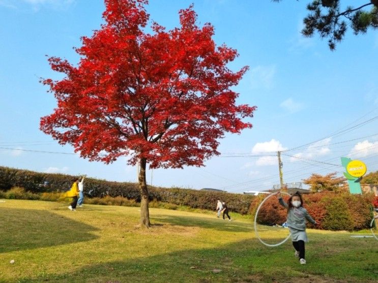 경기도 광주 지월농원, 놀거리 가득 취사가능한 당일 캠핑장!