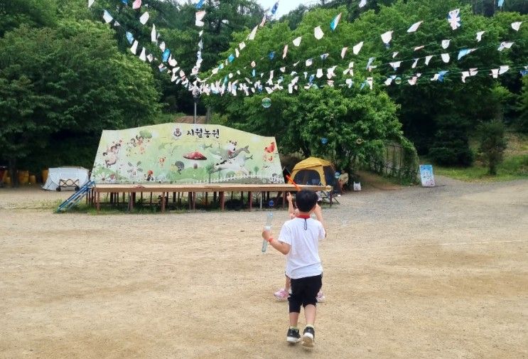 당일캠핑이 가능한 경기도 광주 지월농원 in 미니운동회