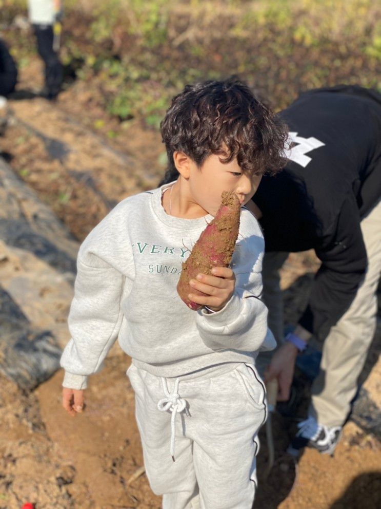 청주 어린이 체험 한국잠사플레이팜 아이와 가볼만한곳