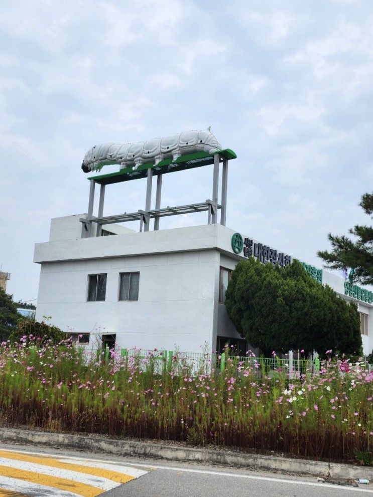 한국잠사플레이팜 한국잠사박물관 아이들체험