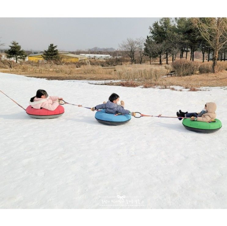 청주 한국잠사박물관 눈썰매장 신나게 씽씽