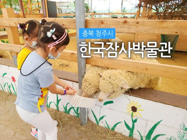 [청주가볼만한곳] 한국잠사박물관, 청주 아이와 갈만한곳...