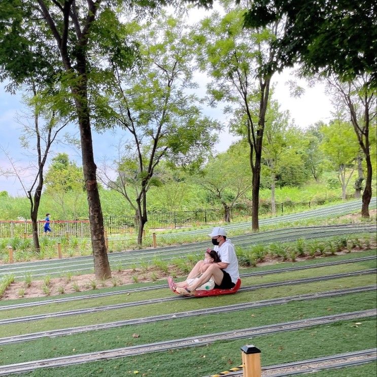 칠곡 가산수피아) 아이와 함께 레일썰매 재미있어요