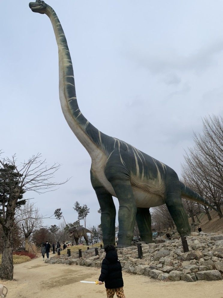 대구 경북 가볼만한곳 가산수피아 아이와 함께