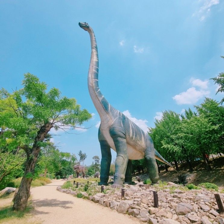 대구 경북 근교 아이와 가볼만한 곳 공룡과 알파카가 있는 칠곡 가산수피아