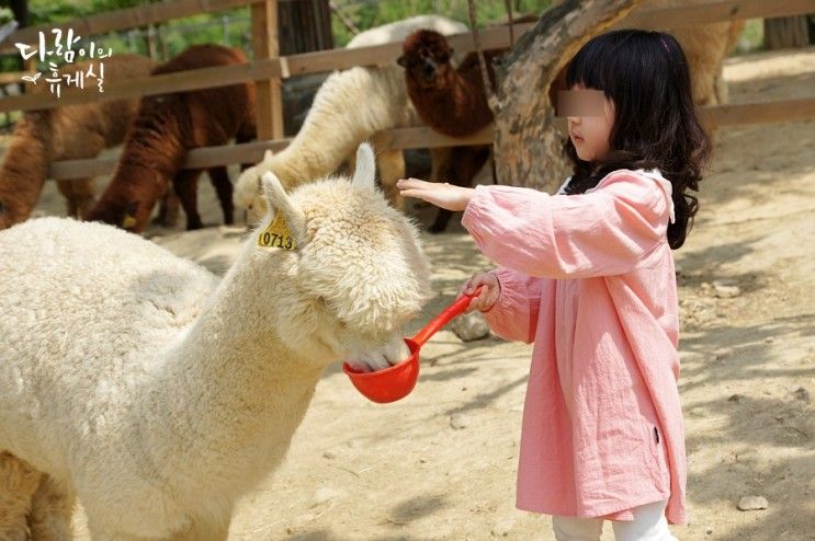 대구근교 아이와 가볼만한곳 가산수피아 할인받는법