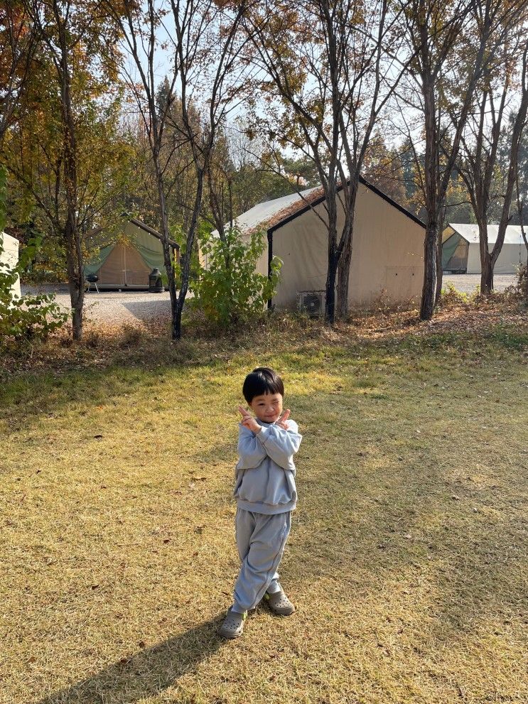 파주 글램핑 해브펀 캠핑어라운드 5살 아이 캠핑 후기