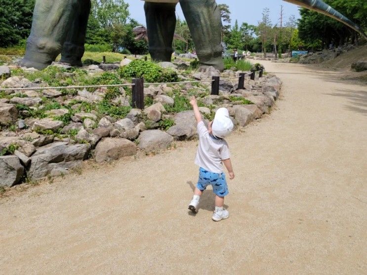 대구 근교 아이와 가볼만한곳 칠곡 가산수피아 입장료할인:)