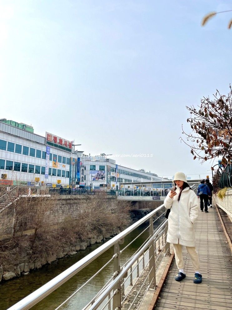 청계천 산책 광장시장 먹거리 주차 팁! 서울데이트는 즐거워♬