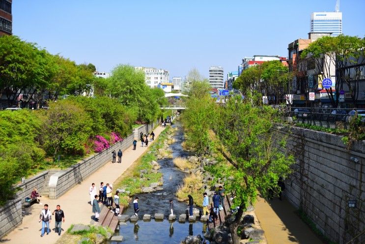 4월 주말, 광장시장 그리고 청계천 산책