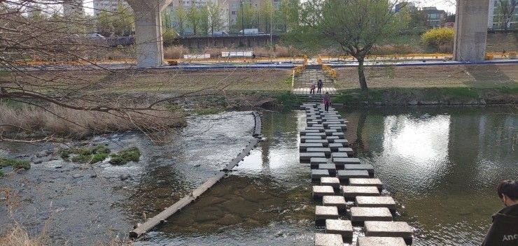 서울 가볼만한곳 - 울집 댕댕이와 청계천 산책