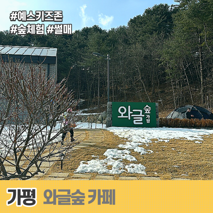 가평 와글숲 신상카페 (썰매 / 숲체험 가능 예스키즈존)