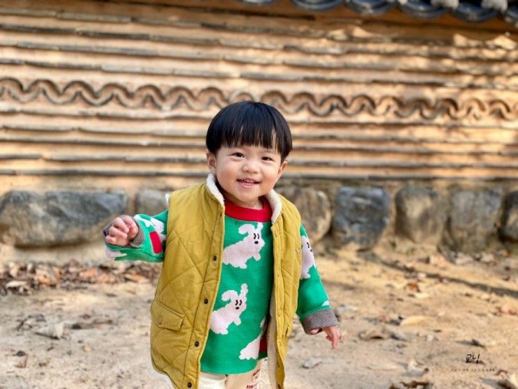 청도 운문사 아기랑 은행나무 단풍구경