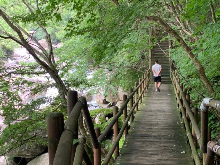 [전북 남원 여행] 여름철 걷기에 좋은 숲길 지리산 뱀사골 계곡