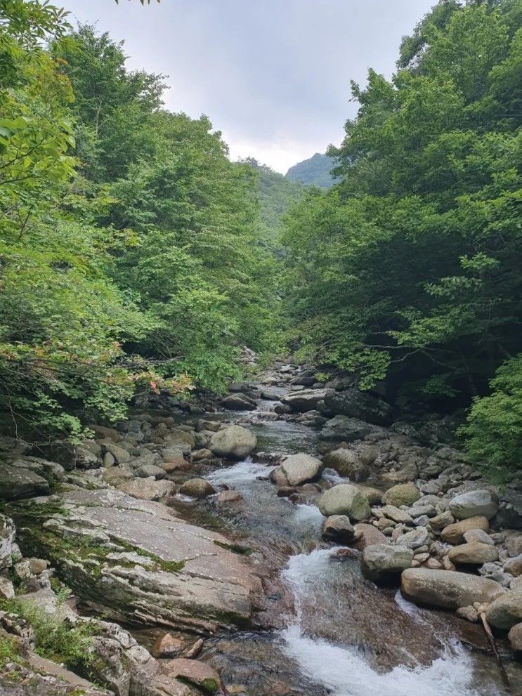 여름 무더워 날려준 지리산 뱀사골 계곡 트레킹